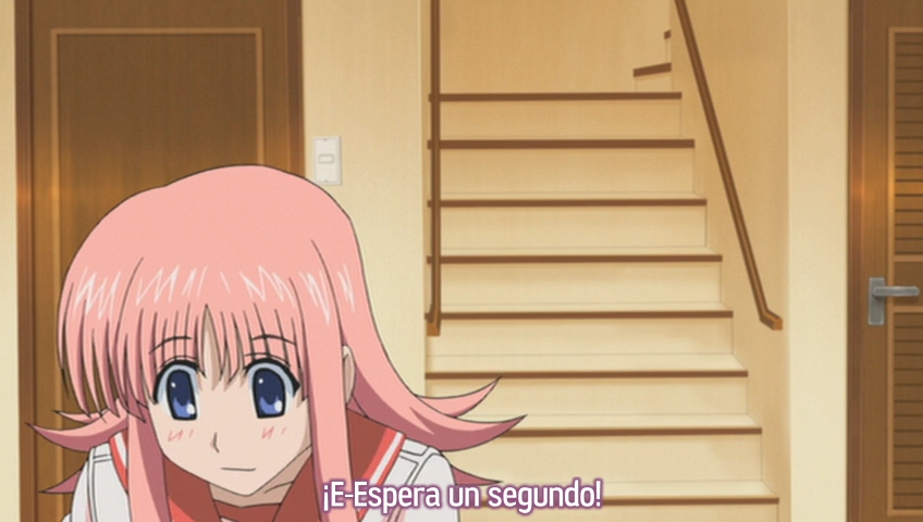 To Heart 2 AD Plus (Nanikano Fansub)